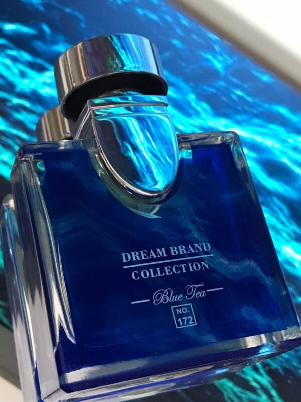 Dream Brand Collection No.172 25ml (2)