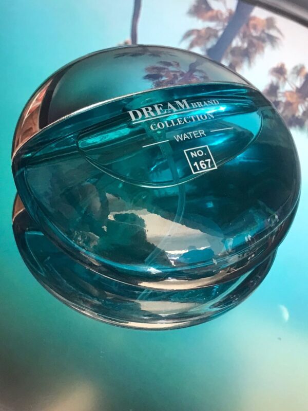 Perfume Importado Masculino Dream Brand Collection Water No 167 (2)